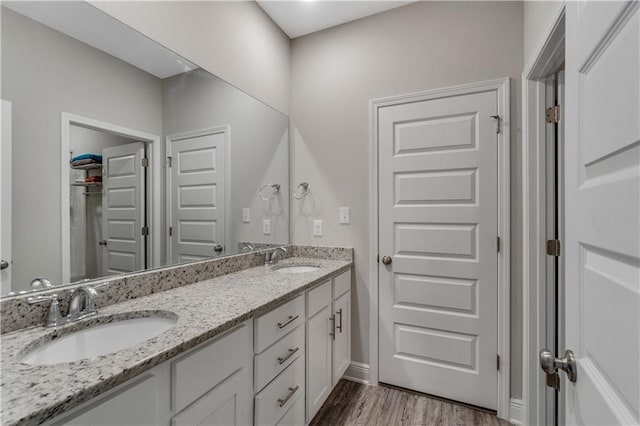 bathroom featuring wood-type flooring and vanity