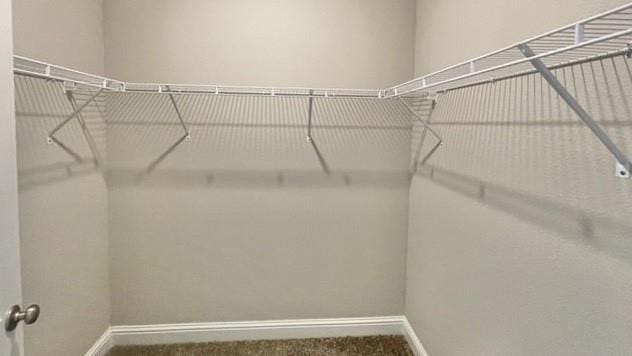 10706 Relic Rd N, Mobile, AL 36608 - spacious closet with carpet