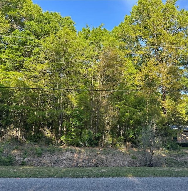 0 Jarrett Rd, Eight Mile AL, 36613 land for sale