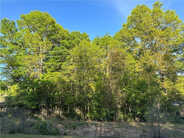 Listing photo 2 for 0 Jarrett Rd, Eight Mile AL 36613