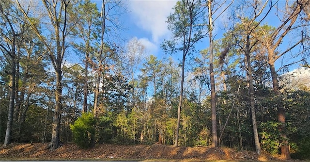 0 County Road 138, Bay Minette AL, 36507 land for sale