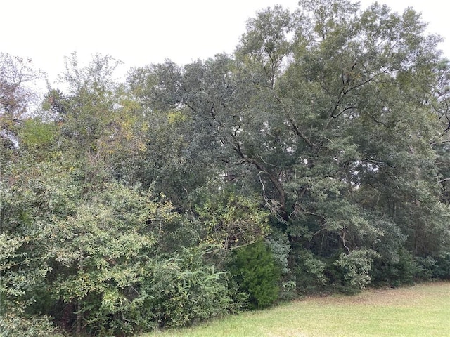 Listing photo 2 for 0 Padgett Switch Rd, Bayou La Batre AL 36509