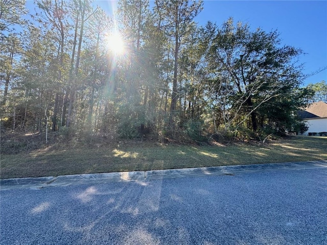 Listing photo 2 for 0 Stone Mill Dr, Mobile AL 36619