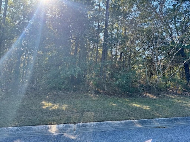 Listing photo 3 for 0 Stone Mill Dr, Mobile AL 36619