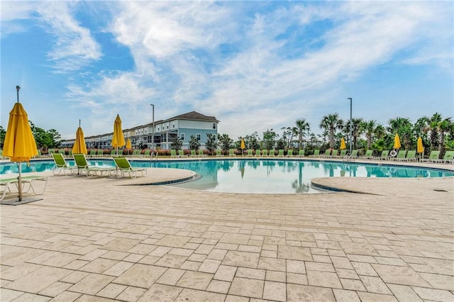 view of pool featuring a patio area