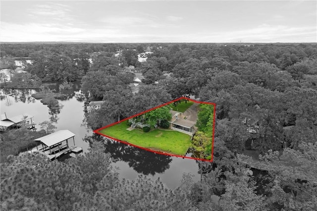 3765 Rabbit Creek Ct, Theodore, AL 36582 - aerial overview of property's location with a large body of water, a forest, and property parcel outlined