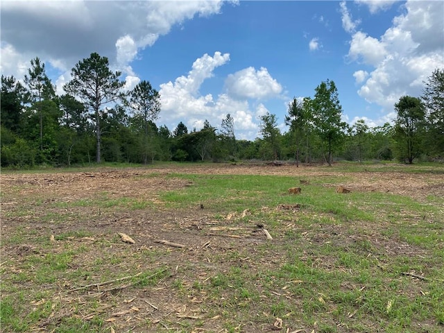 0 Newman Rd, Mobile AL, 36695 land for sale