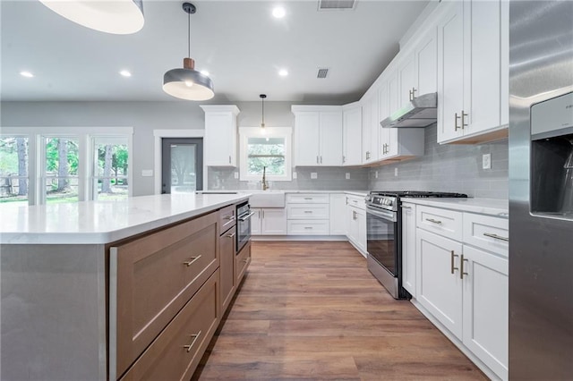 kitchen with a sink, wood finished floors, a center island, under cabinet range hood, and stainless steel appliances