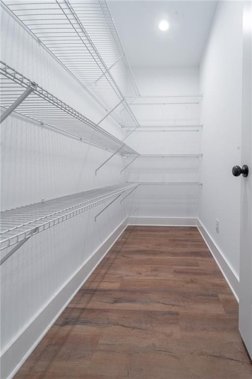 walk in closet featuring wood finished floors