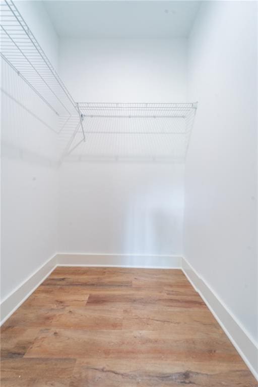 walk in closet with light wood-style floors