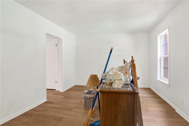 4017 Cottage Hill Rd Unit 17, Mobile, AL 36609 - home office featuring wood finished floors and a textured ceiling