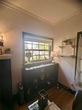 bathroom featuring crown molding and hardwood / wood-style floors