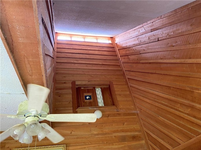 view of sauna / steam room featuring wood walls