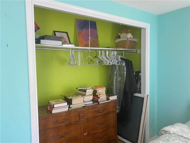 view of closet