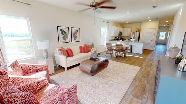 living room featuring sink, a wealth of natural light, ceiling fan, and light wood-type flooring