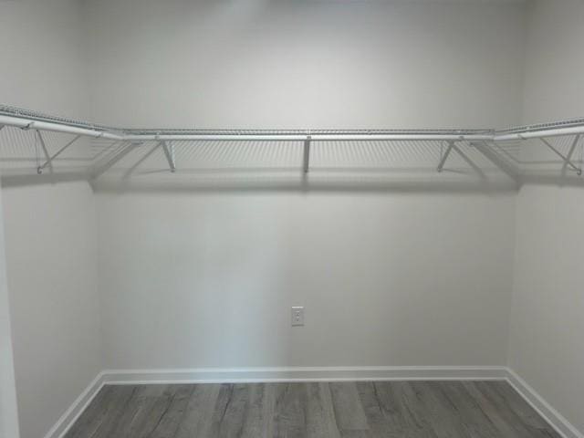 spacious closet with dark wood-type flooring