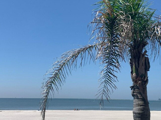 view of water feature with a beach view