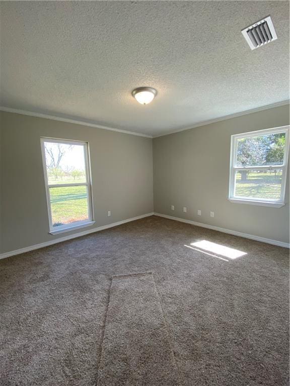 spare room with ornamental molding, carpet, visible vents, and plenty of natural light