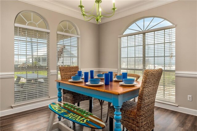 dining space featuring a notable chandelier, a healthy amount of sunlight, and dark hardwood / wood-style flooring