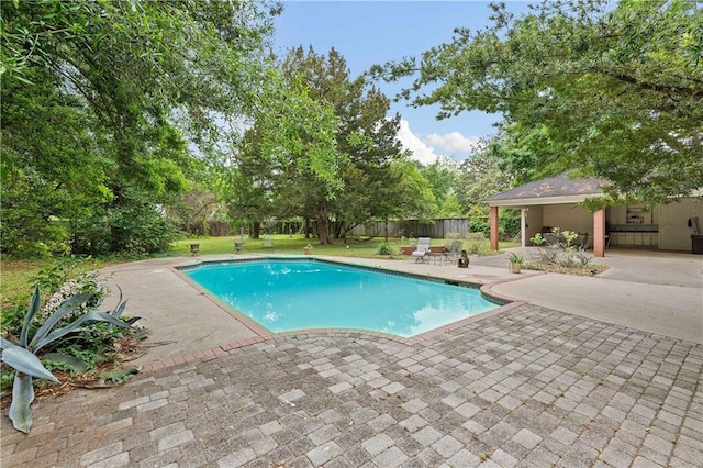 view of pool featuring a patio and a yard