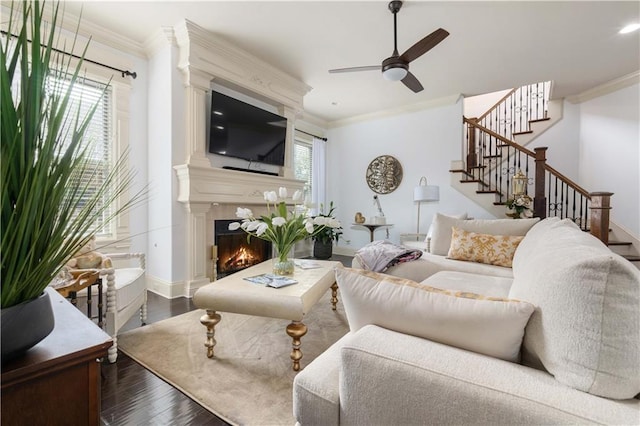 living room featuring wood-type flooring, a large fireplace, ceiling fan, and ornamental molding