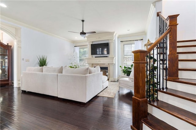 living room featuring dark hardwood / wood-style flooring, ceiling fan, and crown molding