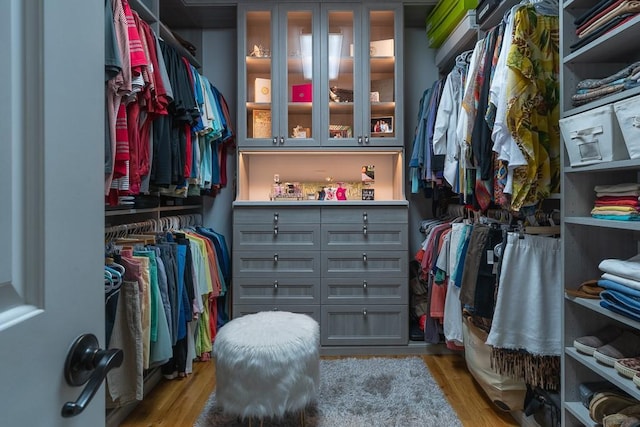 walk in closet with light wood-type flooring