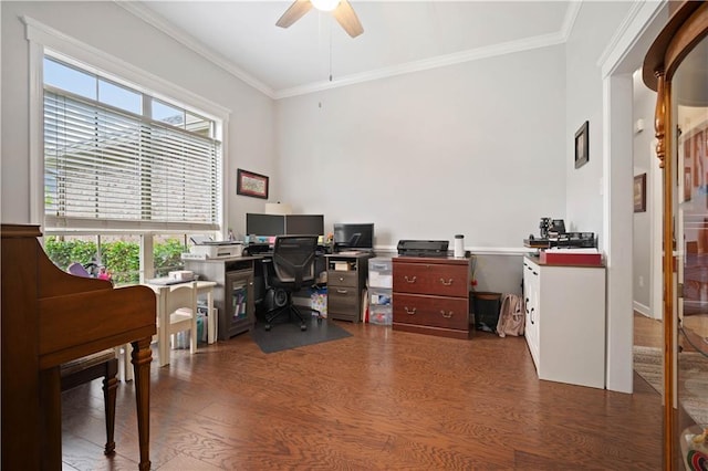 9486 Labrador Run N, Mobile, AL 36695 - office area featuring ceiling fan, wood finished floors, and crown molding