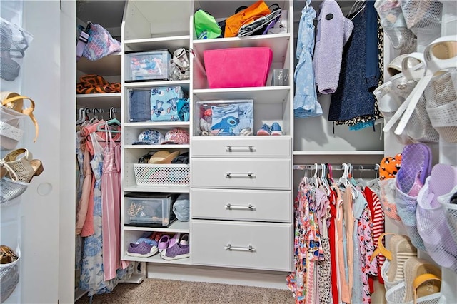 9486 Labrador Run N, Mobile, AL 36695 - walk in closet with carpet floors
