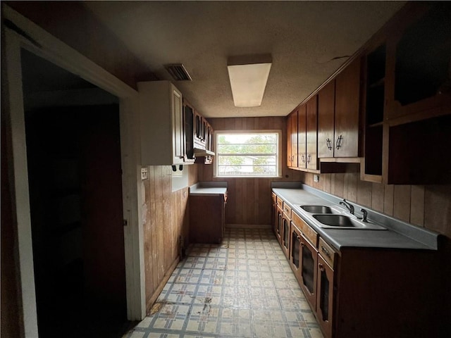 kitchen with wood walls and sink