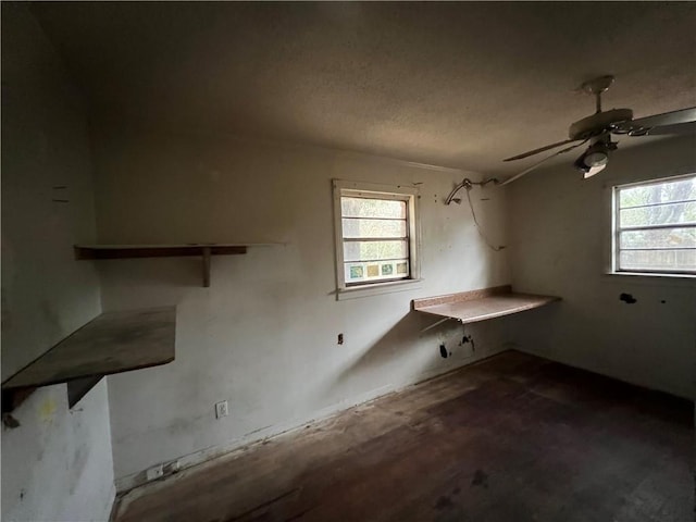 laundry room with a wealth of natural light and ceiling fan