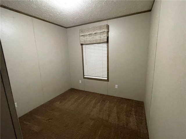 carpeted spare room featuring ornamental molding and a textured ceiling