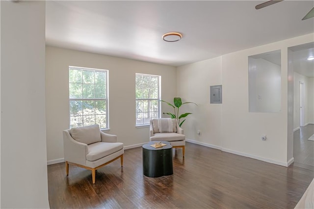 living area featuring dark wood-type flooring, ceiling fan, and electric panel