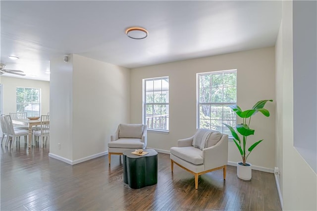 living area with a healthy amount of sunlight, ceiling fan, and dark hardwood / wood-style flooring