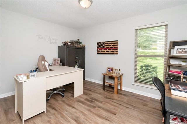 office featuring hardwood / wood-style floors and a healthy amount of sunlight