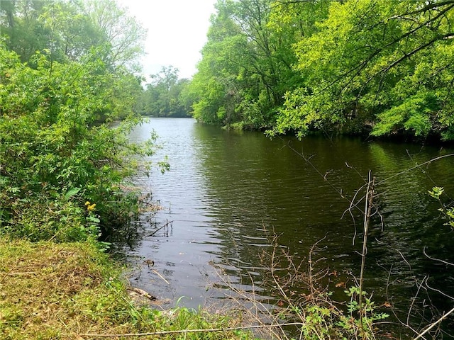 view of water feature featuring a forest view