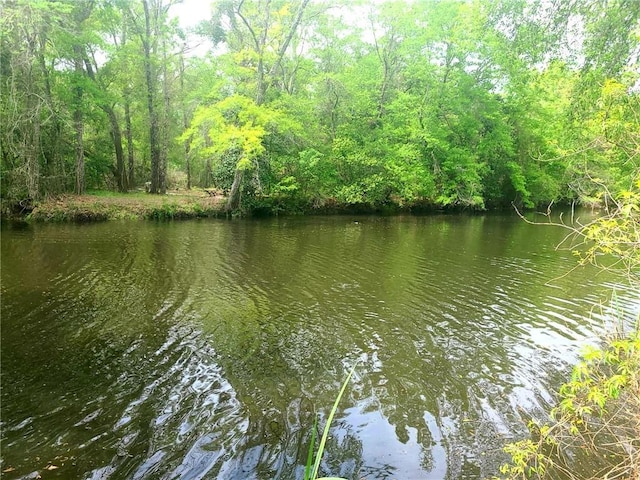 view of water feature with a view of trees