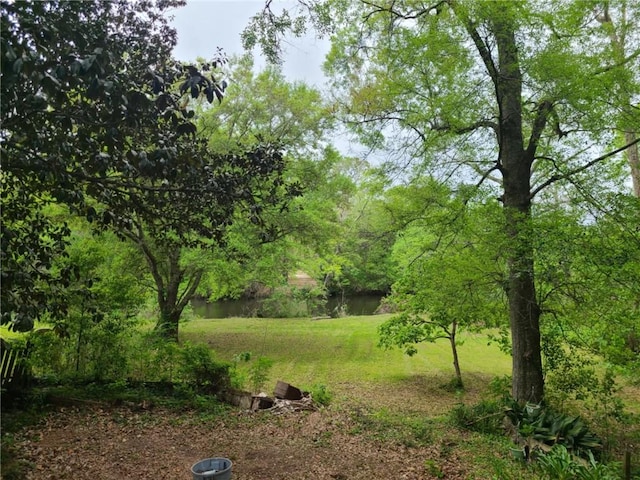view of local wilderness with a wooded view