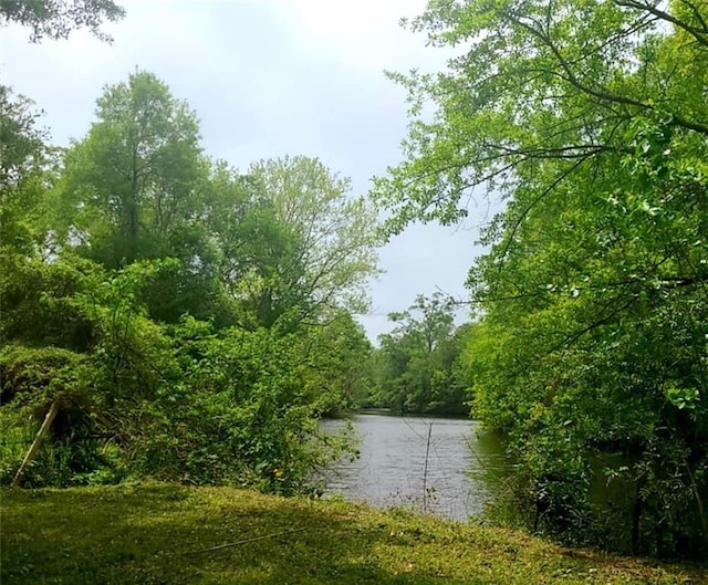 water view featuring a view of trees