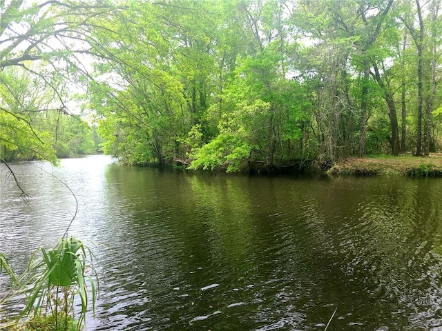 property view of water featuring a view of trees
