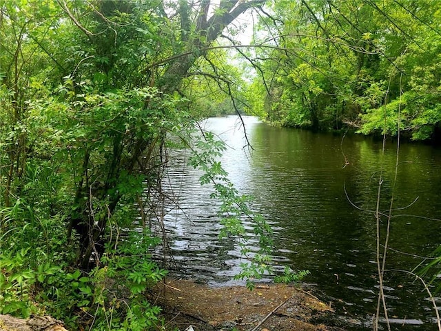 water view featuring a forest view