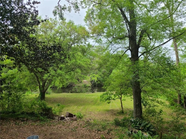 view of nature