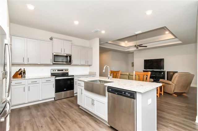 kitchen with white cabinetry, sink, ceiling fan, a raised ceiling, and appliances with stainless steel finishes