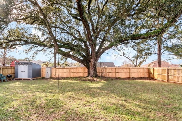 view of yard featuring a shed