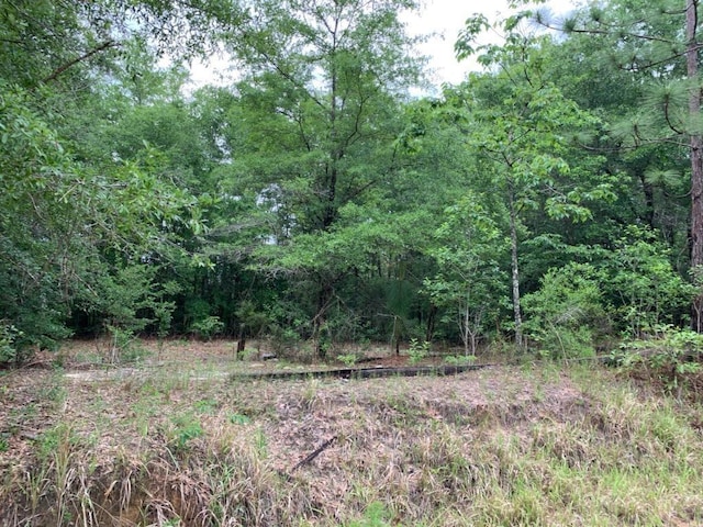 0 Music Row Rd, Wilmer AL, 36587 land for sale