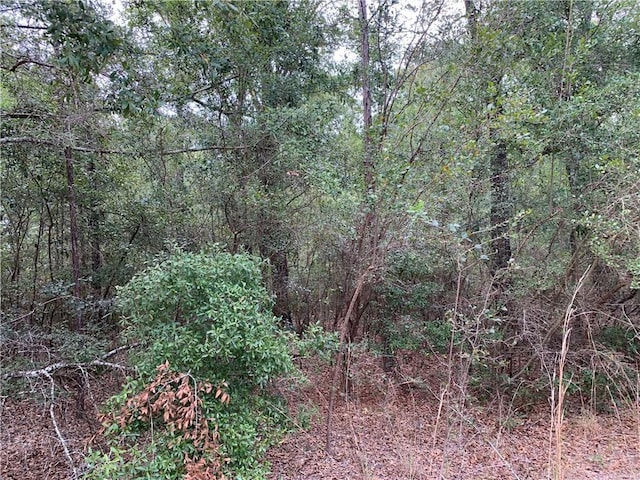 Listing photo 3 for 0 Music Row Rd, Wilmer AL 36587