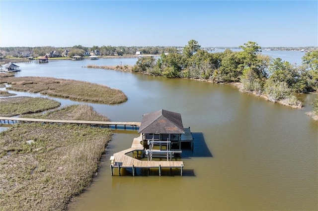 dock area with a water view