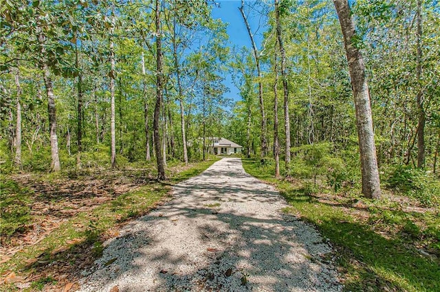 view of street featuring driveway and a forest view