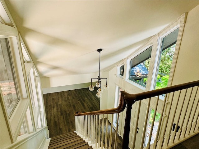 staircase featuring a chandelier, a wealth of natural light, and dark hardwood / wood-style floors