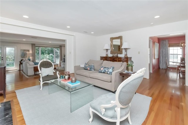 living room featuring hardwood / wood-style flooring